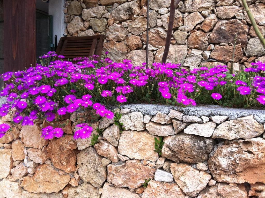 Agriturismo La Rocca Di Perti Finale Ligure Exterior photo